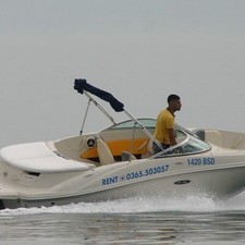 Sea ray 185