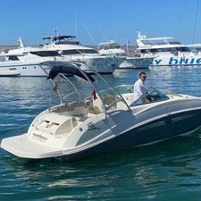 Sea Ray 260