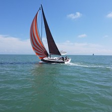 Solaris 40
