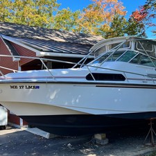Boston Whaler 31l