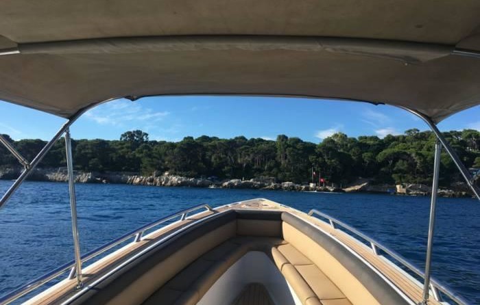 Novurania Chase 38