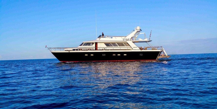 Pegasus Yachts 80