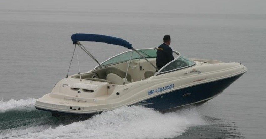 Sea Ray 220