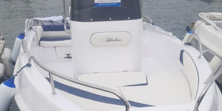 Blueline 19