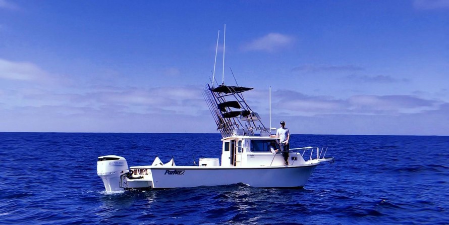 Parker 2820 XLD Sport Cabin